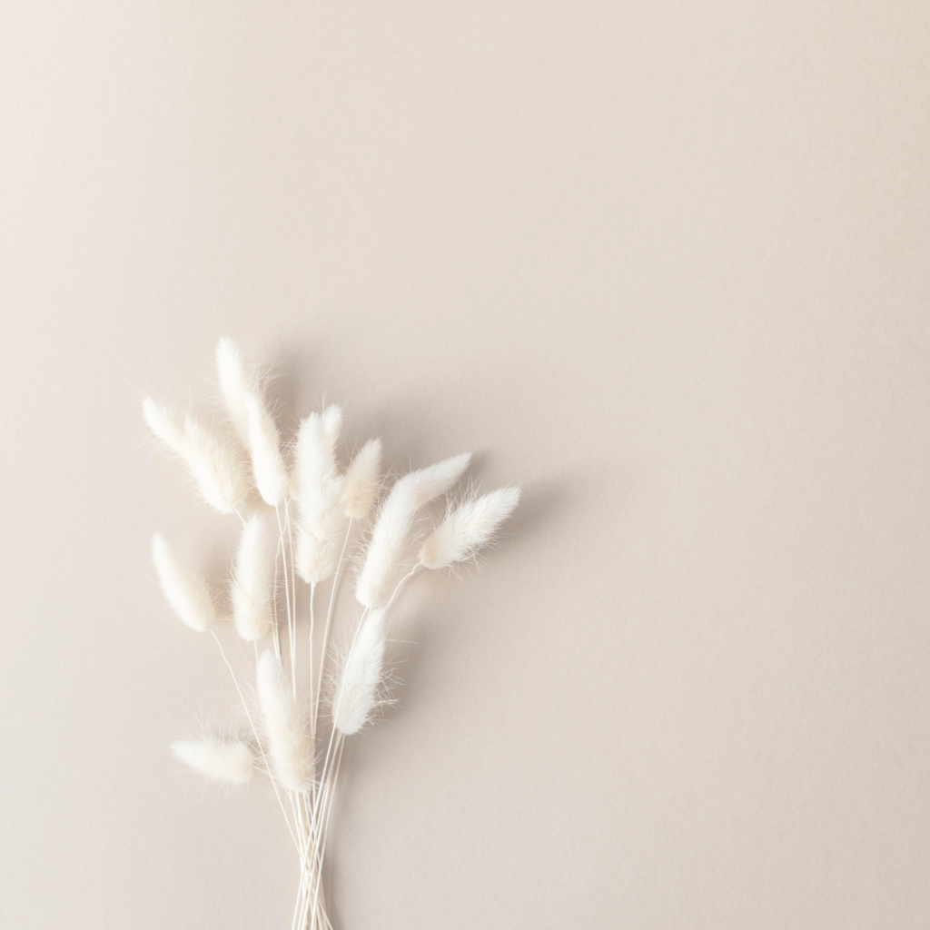 Soforthilfe und Überbrückungen